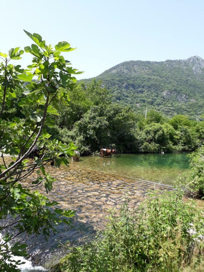 Camp Sunny Hills Hotel Virpazar Eksteriør billede
