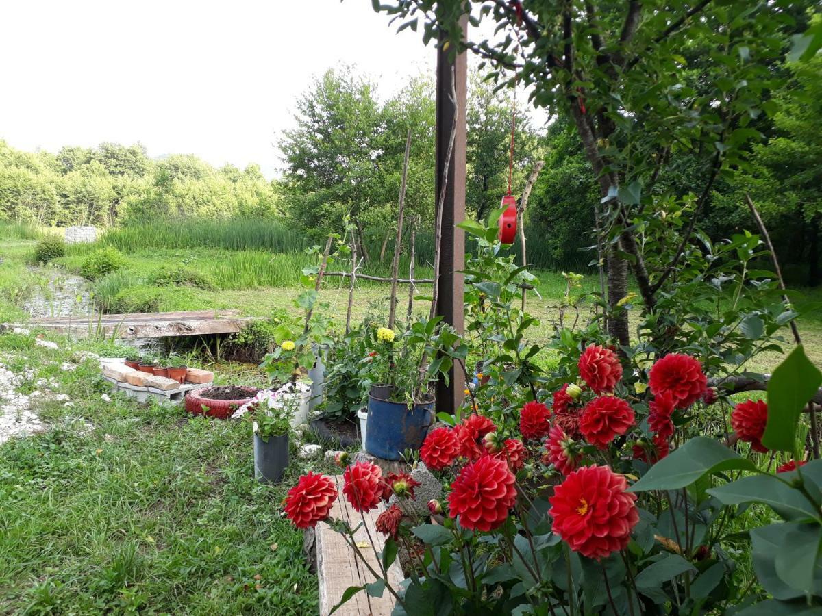 Camp Sunny Hills Hotel Virpazar Eksteriør billede