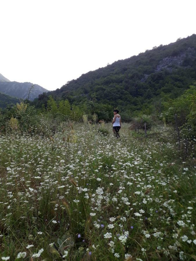 Camp Sunny Hills Hotel Virpazar Eksteriør billede